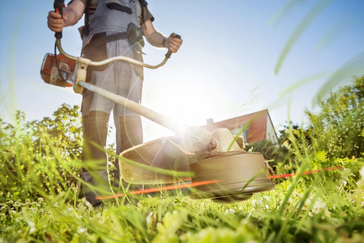 Produits de jardinage en vente dans un magasin spécialisé à Écommoy