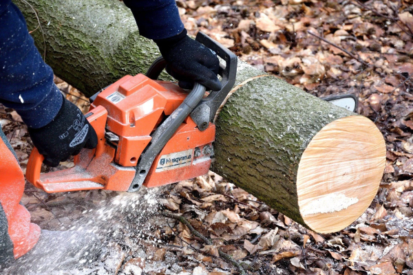 Tronçonneuse stihl  en Indre-et-Loire
